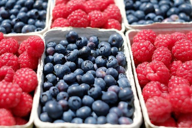 an assortment of berries